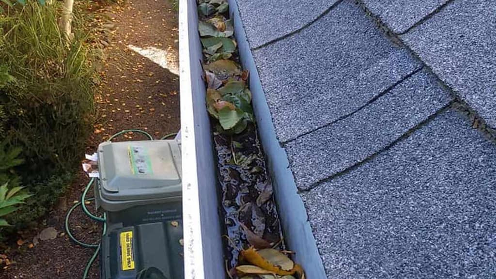 When to clean gutters