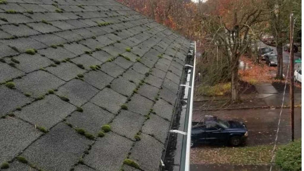 Standing Water in Your Gutters