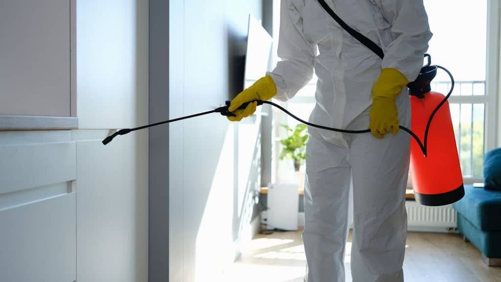 Professional Mold Killers in Tacoma, WA