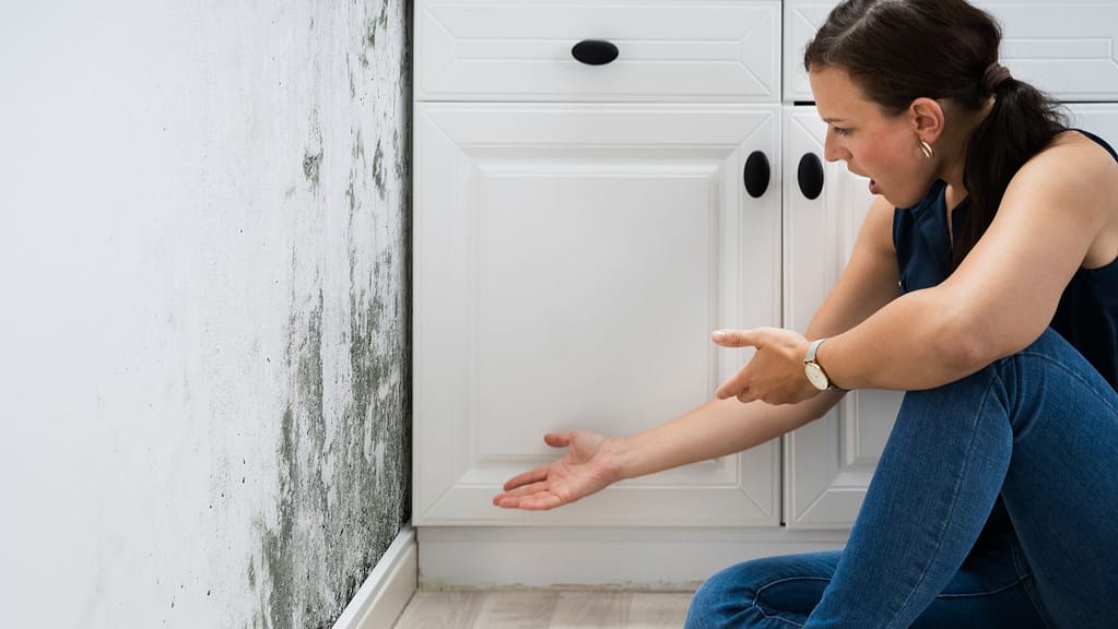 What do professionals use to kill mold