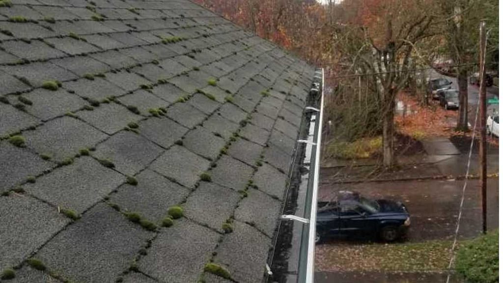 What to Do If You Have Standing Water in Your Gutters 1 Standing Water in Your Gutters