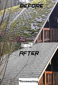 Commercial Roof Cleaning 12 image from ios (41)