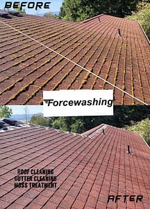 Commercial Roof Cleaning 8 image from ios (27)