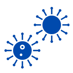 Mold Remediation Service