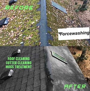 Commercial Roof Cleaning 9 image from ios (28)