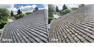Before and After roof cleaning.