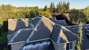 Chemical Roof Cleaning: What chemicals are used to clean roofs? 4 Chemical Roof Cleaning