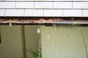 The Gutters Story - Facts & Fun 5 Overflowing Gutter