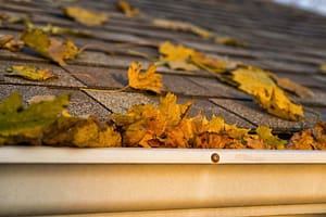 The Gutters Story - Facts & Fun 1 Forcewashing - Gutter Season in Vancouver WA