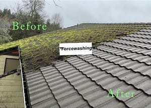 Tile Roof Cleaning 2 Before and after Forcewashing cleaned roof of duplex