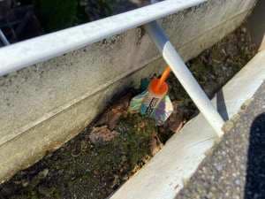 The Gutters Story - Facts & Fun 6 Firecracker Gutter