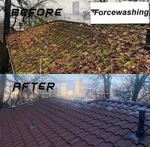 Commercial Roof Cleaning 7 image from ios (25)