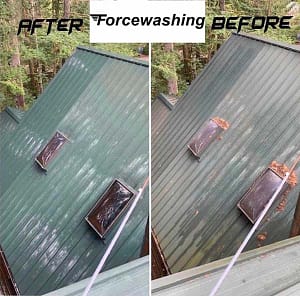 Metal Roof Cleaning 4 image from ios (43)