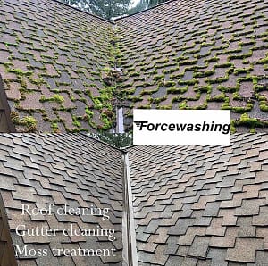 Commercial Roof Cleaning 11 image from ios (31)