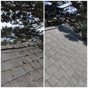 Roof Cleaning Services 12 Forcewashing - Roof Cleaning Before and After Photo - Roof Cleaners in Vancouver WA