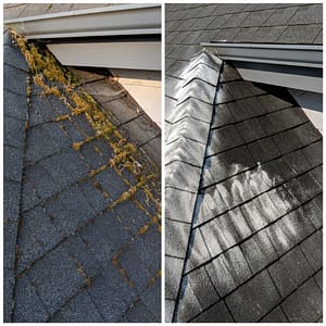 Roof Cleaning Services 11 Forcewashing - Roof Cleaning Before and After Photo - Roof Cleaners in Vancouver WA