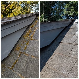 Roof Cleaning Services 9 Forcewashing - Roof Cleaning Before and After Photo - Roof Cleaners in Vancouver WA