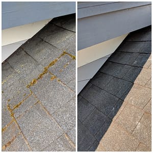Roof Cleaning Services 8 Forcewashing - Roof Cleaning Before and After Photo - Roof Cleaners in Vancouver WA