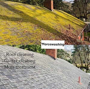 Commercial Roof Cleaning 6 image from ios (22)