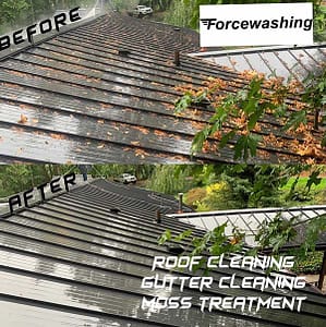 Metal Roof Cleaning 5 image from ios (42)