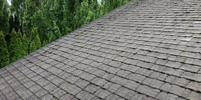Roof Cleaning Services 1 Roof Maintenance - Forcewashing Roof Cleaners in Vancouver WA