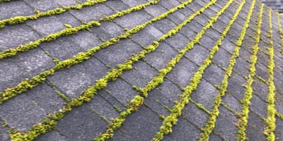 Roof Cleaning Services 2 Roof Moss Removal - Forcewashing Roof Cleaners in Vancouver WA