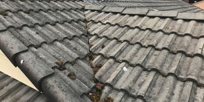 Roof Cleaning Services 5