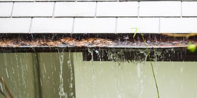 Gutter Cleaning Vancouver WA Services 3 Clogged gutters. Forcewashing in Vancouver WA provides gutter sticks and gutter stick installation services to keep your gutters clean.