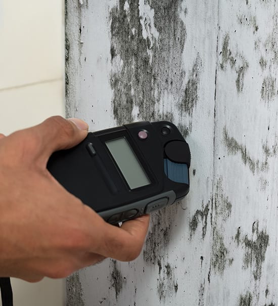 Mold Inspection Tacoma