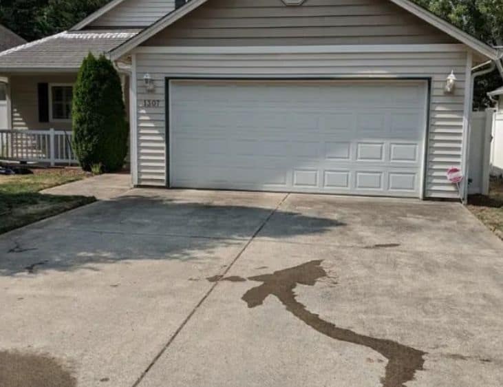 Home 23 BEFORE DRIVEWAY CLEANING