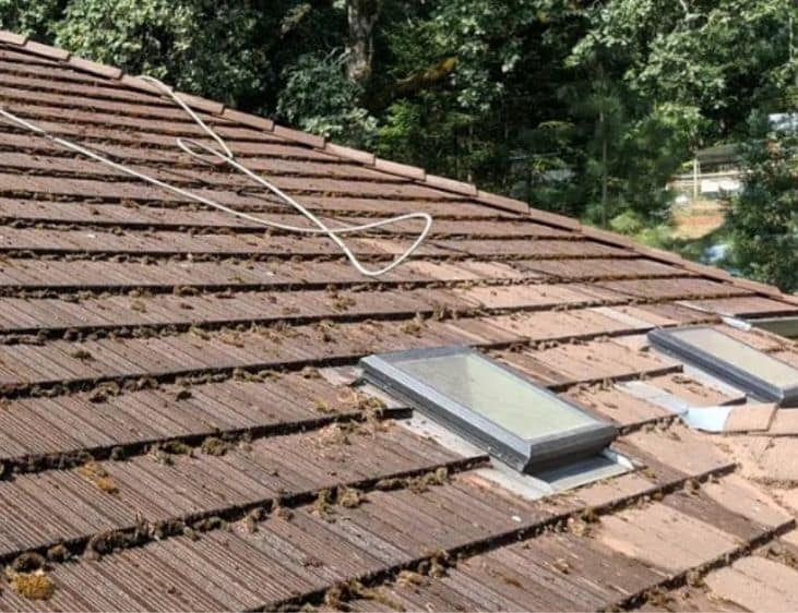 Home 21 BEFORE MOSS roof cleaning