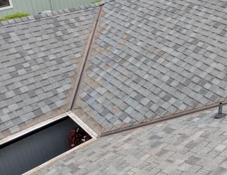 Home 20 after roof cleaning