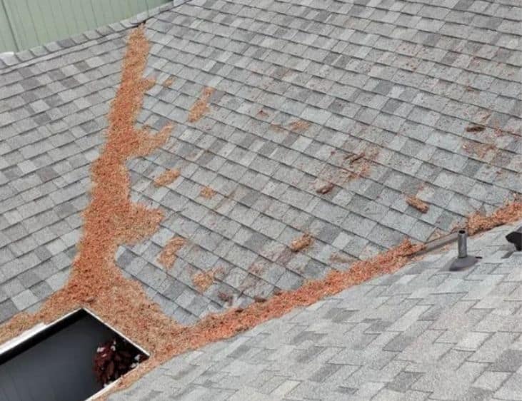 Home 19 before roof cleaning