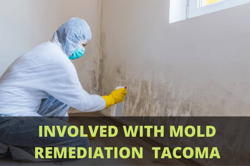 with mold remediation Tacoma